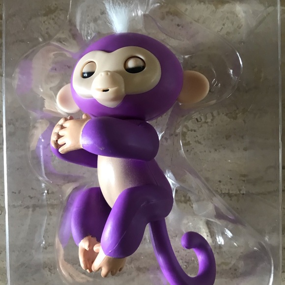 Fingerling monkey - Picture 5 of 5